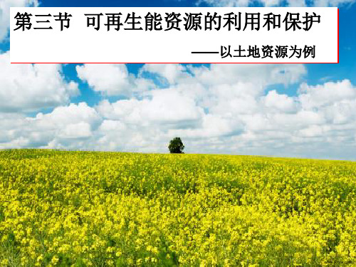 《可再生资源的利用与保护》课件ppt汇总.