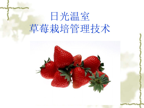 日光温室草莓栽培管理技术