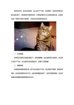 猫咪耳朵发烫鼻子干怎么办  猫耳朵发热鼻子干怎么治
