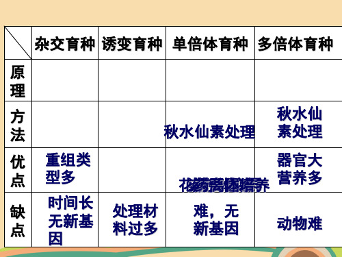高二生物基因工程及应用PPT教学课件