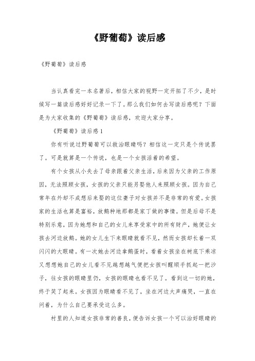 《野葡萄》读后感