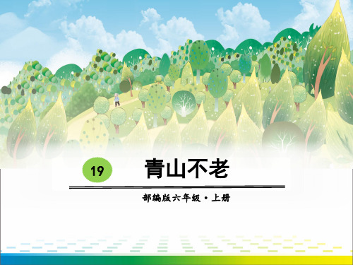 《青山不老》PPT【完美版课件】