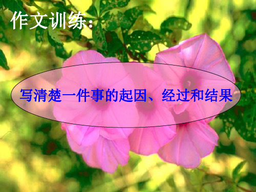 【推荐】初中语文苏教版《七年级下册写作记事写人线索清楚》PPT资料