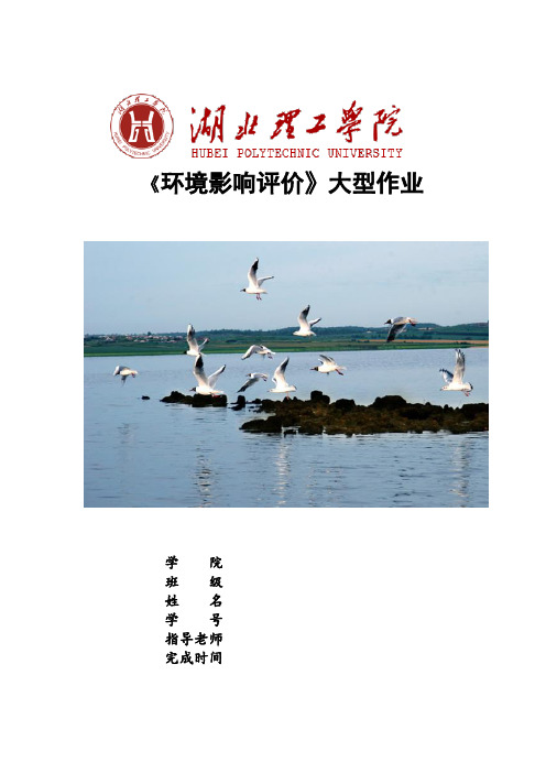 最新环评大型作业