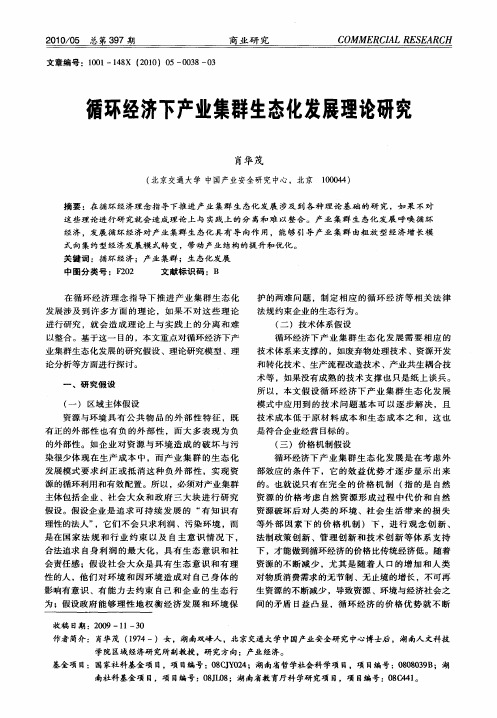 循环经济下产业集群生态化发展理论研究