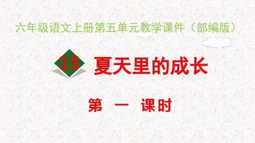六年级语文上册第五单元教学课件(部编版)