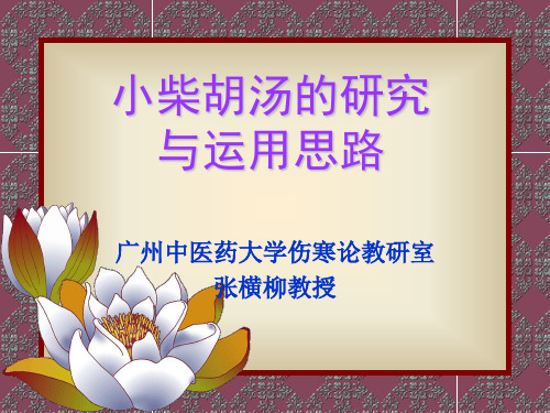 中医学伤寒论培训课件