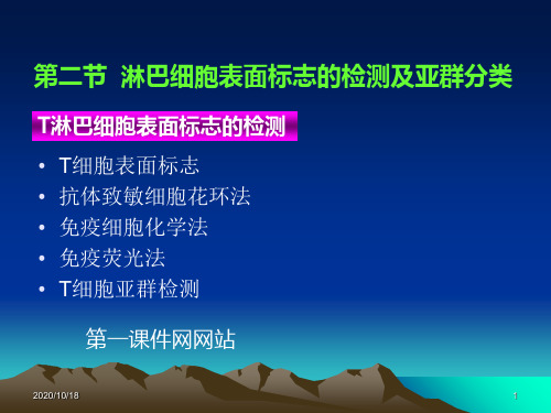 免疫学检验-免疫细胞检测的临床意义PPT优选课件