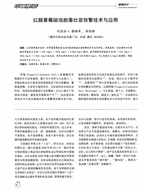 红颜草莓组培脱毒壮苗快繁技术与应用