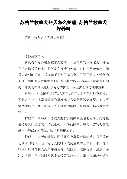 苏格兰牧羊犬冬天怎么护理,苏格兰牧羊犬好养吗