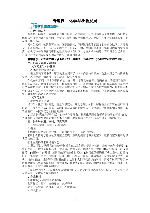 2019年中考化学总复习(人教版)精讲精练：专题4 化学与社会发展