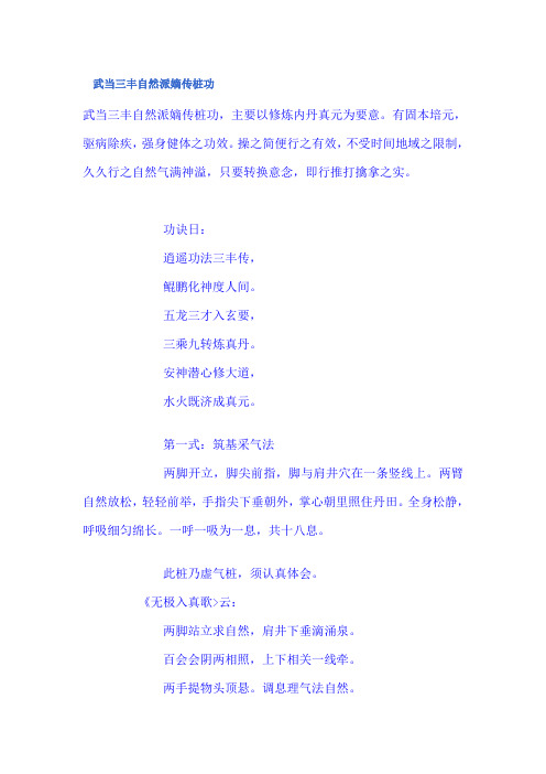 武当三丰自然派嫡传桩功