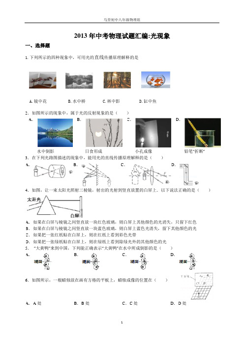 2013年全国中考物理试题分类汇编—光现象
