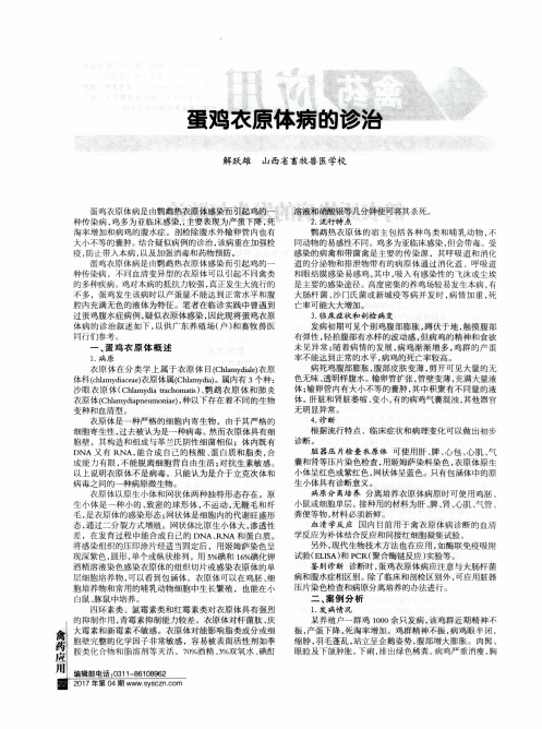 蛋鸡衣原体病的诊治