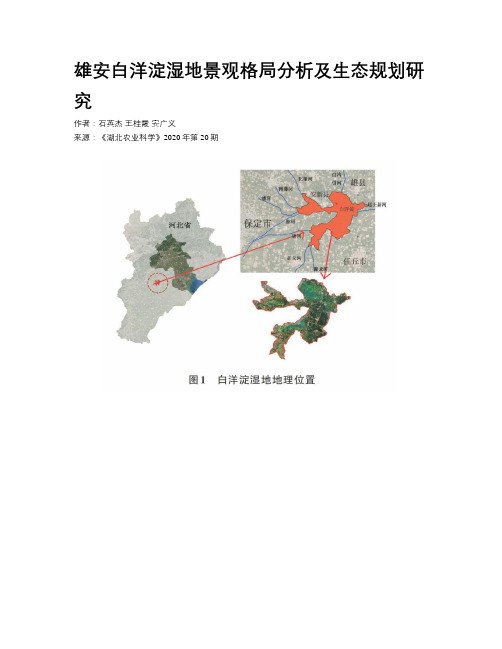 雄安白洋淀湿地景观格局分析及生态规划研究