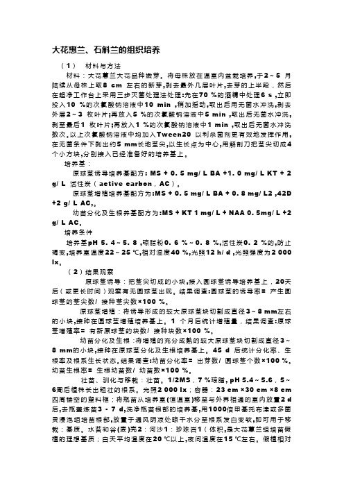 大花惠兰、石斛兰的组织培养