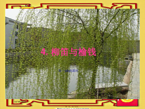 三年级语文下册 第1单元 4《柳笛和榆钱》课件4 小学三年级下册语文课件