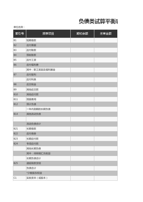 负债类试算平衡表