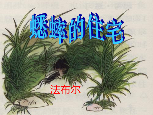 人教版语文 四年级 上册 7、蟋蟀的住宅