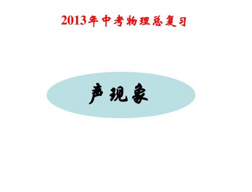 2013年中考《声现象》