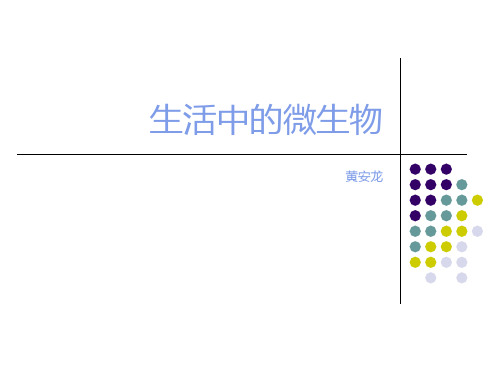 生活中的微生物