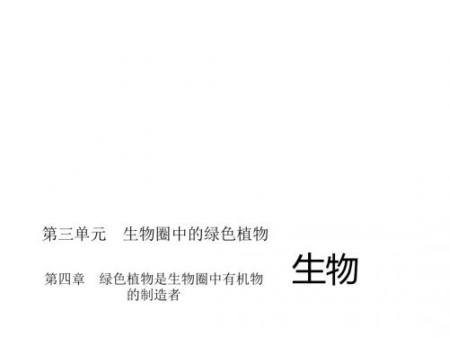 【最新——新课标(RJ)】2014中考生物复习方案(考点聚焦 综合探