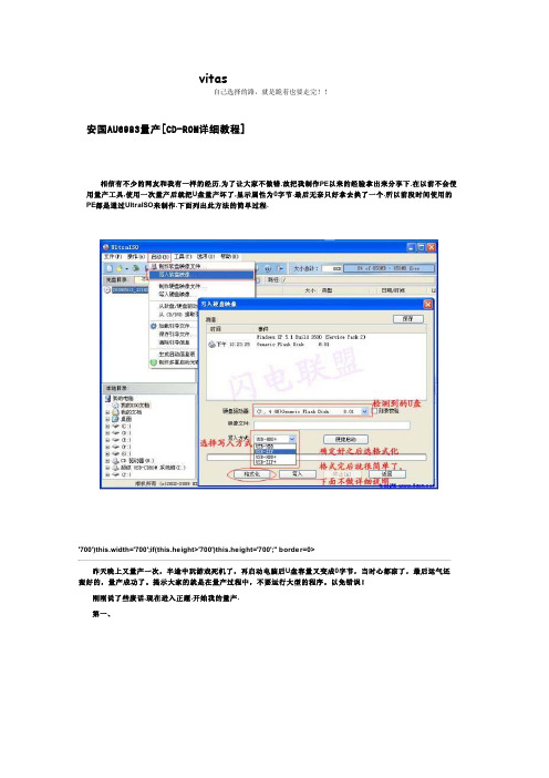 安国AU6983量产[CD-ROM详细教程]