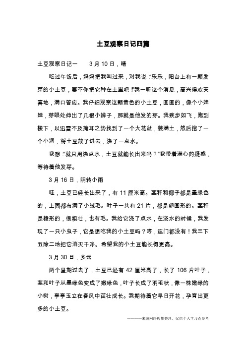 土豆观察日记四篇