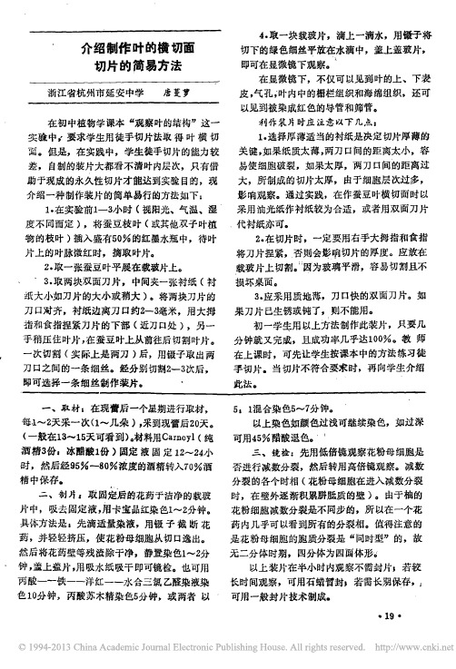 介绍制作叶的横切面切片的简易方法