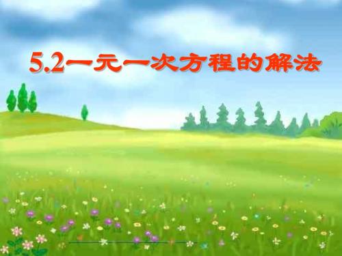 一元一次方程的解法2--浙教版