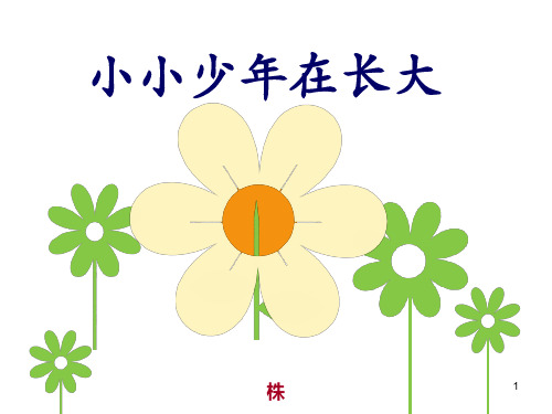 主题班会课件——小小少年在长大   通用版