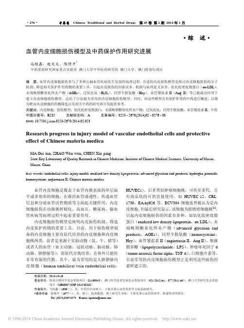 血管内皮细胞损伤模型及中药保护作用研究进展_马桂鑫
