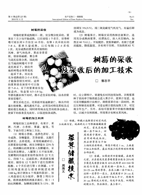 树莓的采收及采收后的加工技术