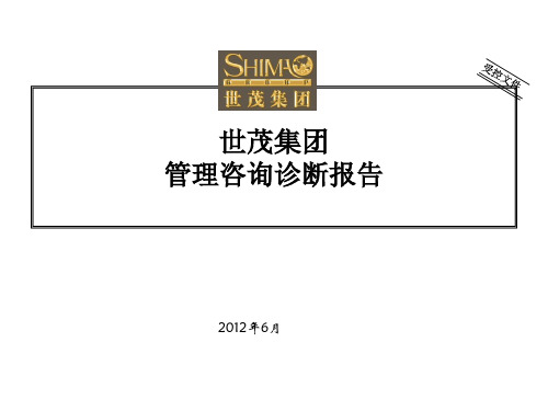 世茂集团管理咨询诊断报告
