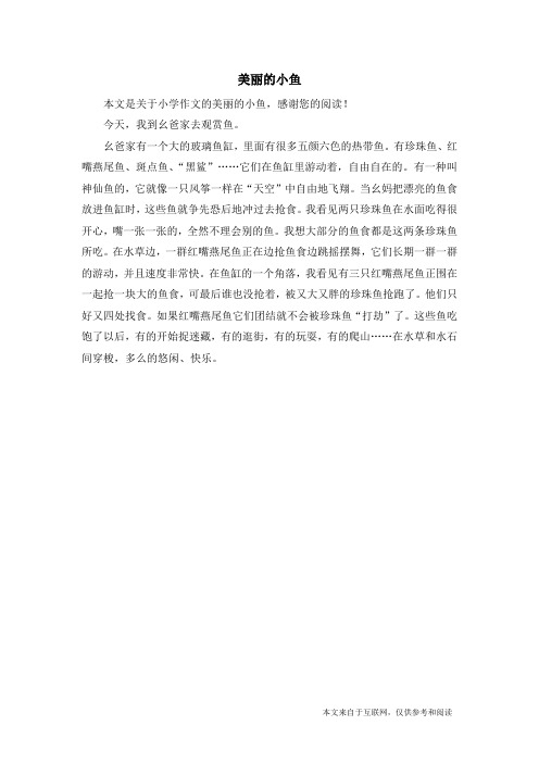 美丽的小鱼_小学作文