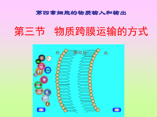人教版高中生物必修1第四章第三节《物质跨膜运输的方式》PPT课件
