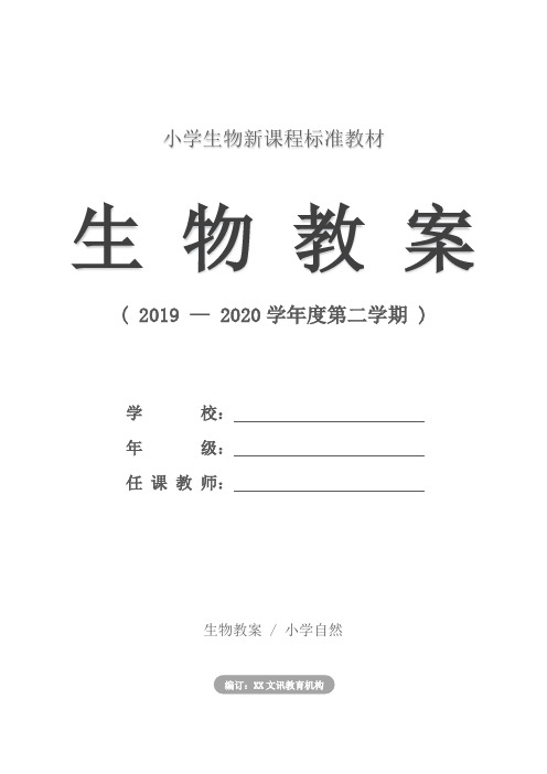 小学生物：第一册 4、3裸子植物