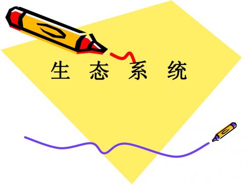 八下生物生态系统复习课件