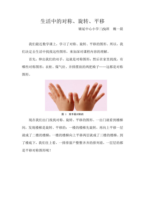 生活中的对称、旋转、平移