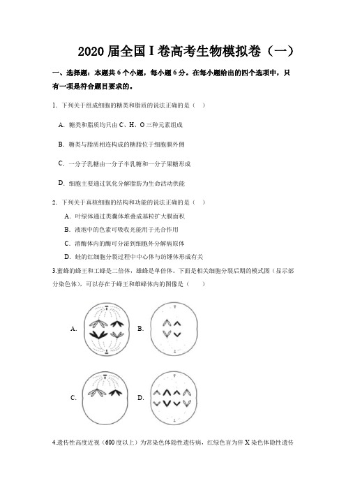 2020届全国I卷高考生物模拟卷(一)带解析