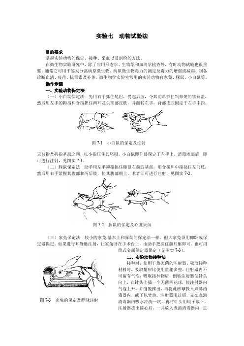实验七动物试验法