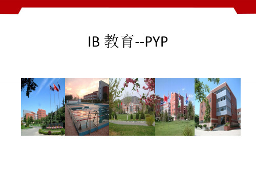 IB教育中的Y介绍
