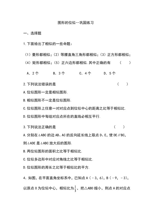 苏科版九年级下册  6.6 图形的位似巩固练习(含答案)