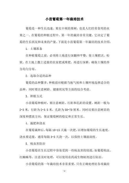 小苗葡萄第一年栽培技术