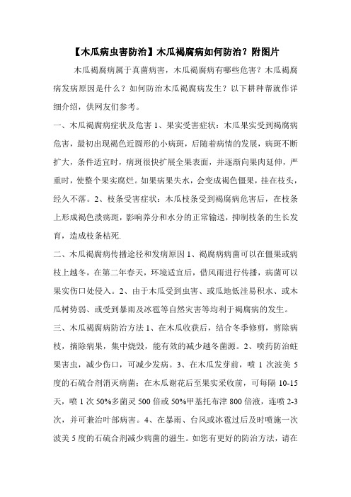【木瓜病虫害防治】木瓜褐腐病如何防治？附图片
