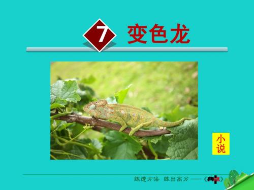 九年级语文下册第二单元第7课《变色龙》课件(新版)新人教版