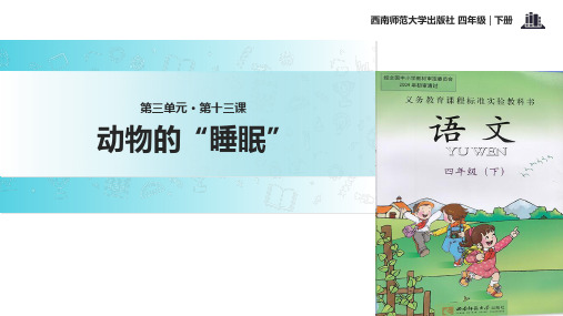四年级下册语文课件13动物的睡眠｜西师大版 (共20张PPT)
