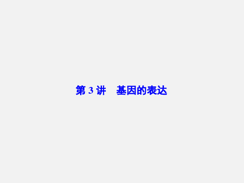 高考生物 一轮复习 第六章 遗传的分子基础 第3讲 基因的表达