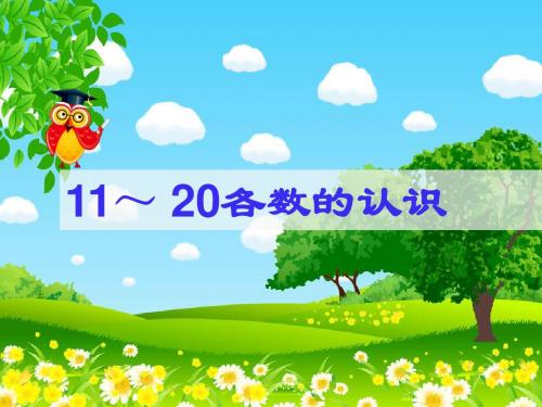 一年级上册数学课件-11-20各数的认识 ∣人教新课标 (共18张PPT)