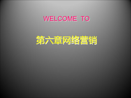 第六章网络营销PPT课件